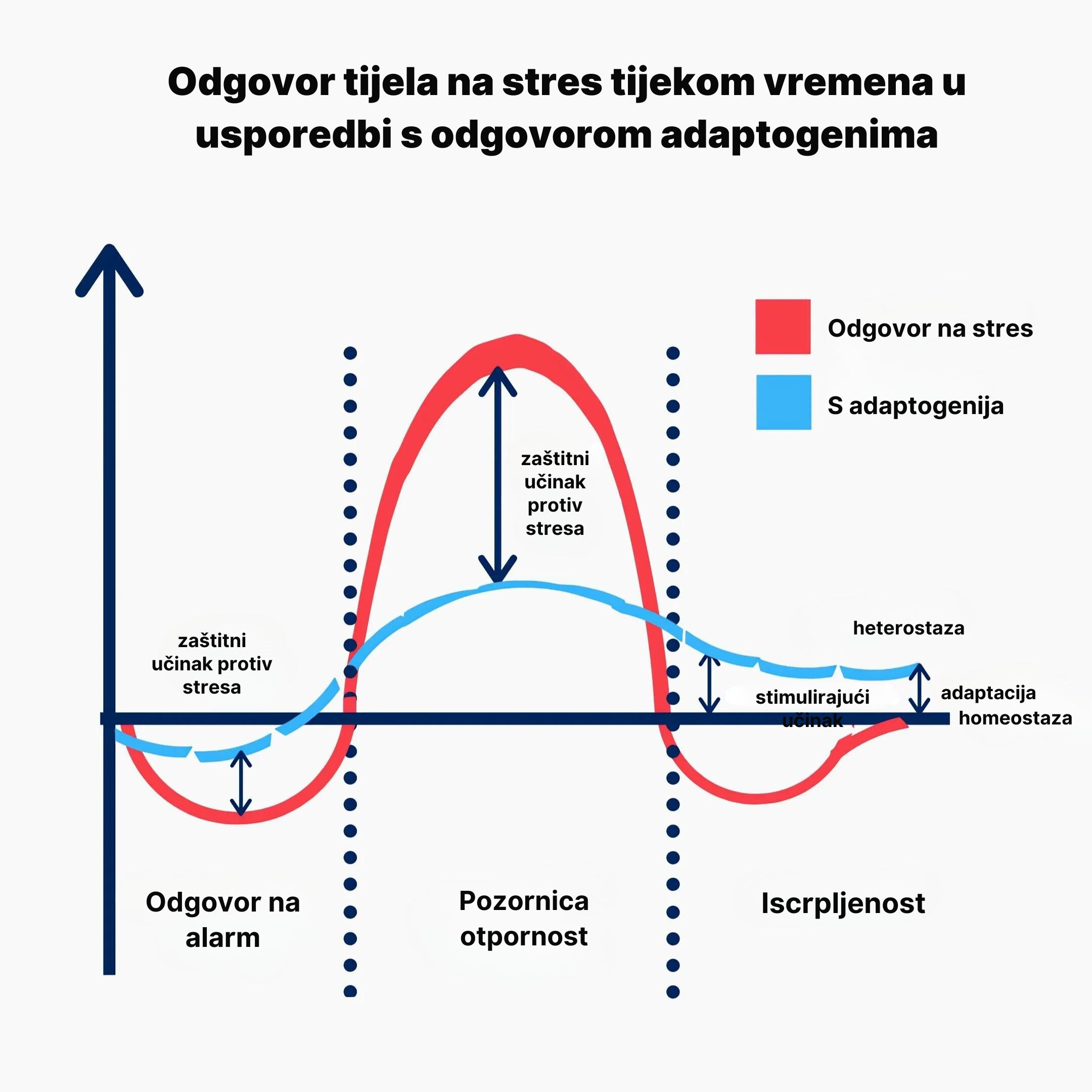 (Chorvatština) Reakce těla na stres v průběhu času ve srovnání s reakcí s adaptogeny